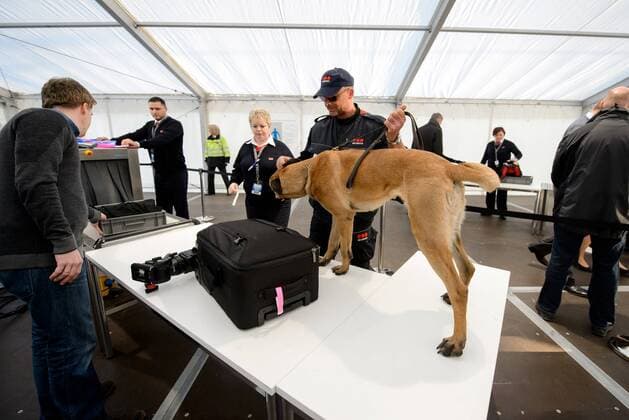 Bilder des Tages - SPORT 26. Maerz 2016: Berlin, Olympiastadion: Fussball Testspiel: Deutschland - England: Ein Spuerhund untersucht am Eingang den Koffer eines Gastes nach Sprengstoff.