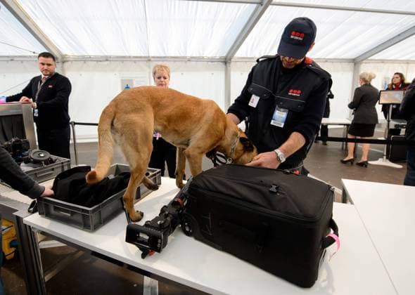 26. Maerz 2016: Berlin, Olympiastadion: Fussball Testspiel: Deutschland - England: Ein Spuerhund untersucht am Eingang den Koffer eines Gastes nach Sprengstoff.