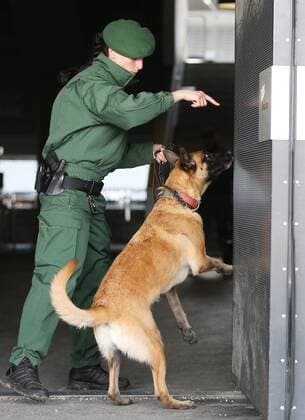 Fußball, Polizei durchsucht die Allianzarena vor dem Länderspiel Deutschland - Italien SOCCER - GER vs ITA, test match MUNICH,GERMANY,29.MAR.16 - SOCCER - international match Länderspiel Germany vs Italy, friendly match. Image shows a policewoman with a dog. GEPAxpictures xThomasxBachun