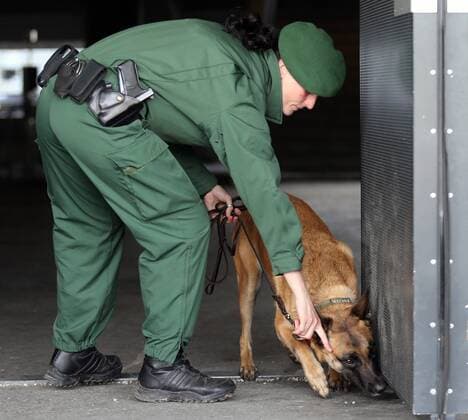 Fußball, Polizei durchsucht die Allianzarena vor dem Länderspiel Deutschland - Italien SOCCER - GER vs ITA, test match MUNICH,GERMANY,29.MAR.16 - SOCCER - international match Länderspiel Germany vs Italy, friendly match. Image shows a policewoman with a dog. GEPAxpictures xThomasxBachun
