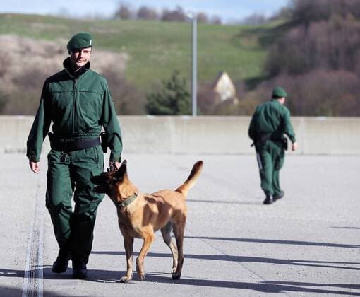 Fußball, Polizei durchsucht die Allianzarena vor dem Länderspiel Deutschland - Italien SOCCER - GER vs ITA, test match MUNICH,GERMANY,29.MAR.16 - SOCCER - international match Länderspiel Germany vs Italy, friendly match. Image shows a policewoman with a dog. GEPAxpictures xThomasxBachun