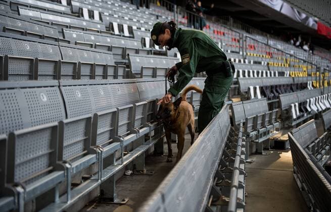 Eine Polizeibeamtin kontrolliert mit einem Hund Sitzreihen in der Allianz Arena in München vor dem Freundschaftsspiel der Deutschen Nationalmannschaft gegen Italien.