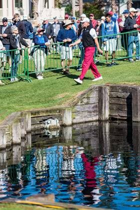 Golfer Ernie Els during the RBC Heritage PGA Golf Herren Tour on Saturday Apr. 16, 2016 at Harbour Town Golf Links, in Hilton Head, SC. PGA 2016: RBC Heritage APR 16 - ZUMAc04_