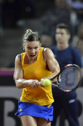 Tennis - Fed Cup - WORLD GROUP PLAY-OFF - Romania vs. Germany APR 2016 April 17, 2016: Simona HALEP (ROU) during the Fed Cup - WORLD GROUP PLAY-OFF - Romania vs. Germany at Polyvalent Hall in Cluj-Napoca, Romania
