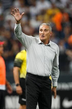 Corinthians x Audax SAO PAULO, Brazil - 04 23 2016: CORINTHIANS X AUDAX - Tite during the match between Corinthians x Audax, validates the semi final of the Paulista Championship 2016, held at the Arena Corinthians. (Photo: Marcelo Machado de Melo FotoArena)  MarceloxMachadoxdexMelo