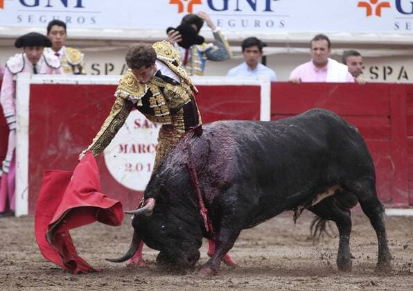 Mexican bullfighter Arturo Saldivar fights his first bull 502kg Lobo during the San Marcos National Fair held in Aguascalientes, Mexico, on 08 May 2016. SAN MARCOS NATIONAL FAIR !ACHTUNG: NUR REDAKTIONELLE NUTZUNG!  20160509-635983761398075880