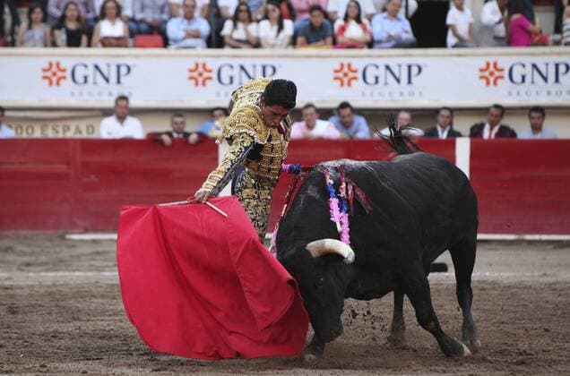 Mexican bullfighter Sergio Flores fights his first bull 508kg Espino during the San Marcos National Fair held in Aguascalientes, Mexico, on 08 May 2016. SAN MARCOS NATIONAL FAIR !ACHTUNG: NUR REDAKTIONELLE NUTZUNG!  20160509-635983762750127880