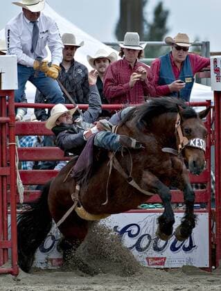 Rodeo in Surrey, Kanada (160522) -- SURREY, May 22, 2016 -- A cowboy performs during the Cloverdale Rodeo in Surrey, Canada, May 21, 2016. More than 95 cowboys and cowgirls competed their riding skills at the 70th Cloverdale Rodeo in Surrey, Canada. Cloverdale Rodeo is one of the biggest and longest running rodeo event in North America. ) (cyc) CANADA-SURREY-CLOVERDALE RODEO AndrewxSoong 