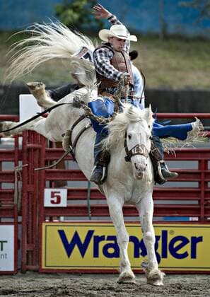 Rodeo in Surrey, Kanada (160522) -- SURREY, May 22, 2016 -- A cowboy performs during the Cloverdale Rodeo in Surrey, Canada, May 21, 2016. More than 95 cowboys and cowgirls competed their riding skills at the 70th Cloverdale Rodeo in Surrey, Canada. Cloverdale Rodeo is one of the biggest and longest running rodeo event in North America. ) (cyc) CANADA-SURREY-CLOVERDALE RODEO AndrewxSoong 