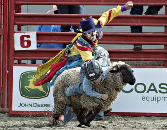 Rodeo in Surrey, Kanada (160522) -- SURREY, May 22, 2016 -- A kid participates in mutton busting event during the Cloverdale Rodeo in Surrey, Canada, May 21, 2016. More than 95 cowboys and cowgirls compete their riding skills at the 70th Cloverdale Rodeo in Surrey, Canada. Cloverdale Rodeo is one of the biggest and longest running rodeo event in North America. ) (cyc) CANADA-SURREY-CLOVERDALE RODEO-SIDESHOWS AndrewxSoong 