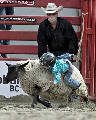 Rodeo in Surrey, Kanada (160522) -- SURREY, May 22, 2016 -- A kid participates in mutton busting event during the Cloverdale Rodeo in Surrey, Canada, May 21, 2016. More than 95 cowboys and cowgirls compete their riding skills at the 70th Cloverdale Rodeo in Surrey, Canada. Cloverdale Rodeo is one of the biggest and longest running rodeo event in North America. ) (cyc) CANADA-SURREY-CLOVERDALE RODEO-SIDESHOWS AndrewxSoong 