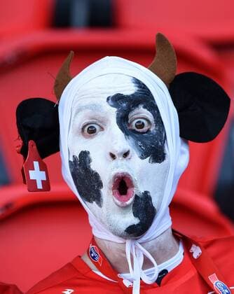 Bilder des Tages - SPORT FUSSBALL EURO 2016 GRUPPE A IN PARIS Rumaenien - Schweiz 15.06.2016 Ein Fan der Schweizer Nationalmannschaft hat sich sehr originell hergerichtet