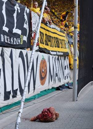Fußball, DFB Pokal, Bullenkopf wird aus dem Dresdener Fanblock geworfen ein Bullenkopf liegt vorm Dresdner K-Block, SG Dynamo Dresden gegen Rasenballsport Leipzig, Fußball, Fussball, DFB-Pokal, Pokal, 1. Hauptrunde, Saison 2016 2017, DDV-Stadion Dresden, 20.08.2016,