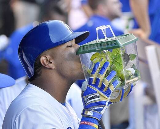 August 20, 2016 - Kansas City, MO, USA - Kansas City Royals Salvador Perez kisses Rally Mantis Jr in his cage after hitting a two run home run in the fifth inning during Saturday s baseball game against the Minnesota Twins on Aug. 20, 2016 at Kauffman Stadium in Kansas City, Mo. Twins vs. Royals - ZUMAm67_