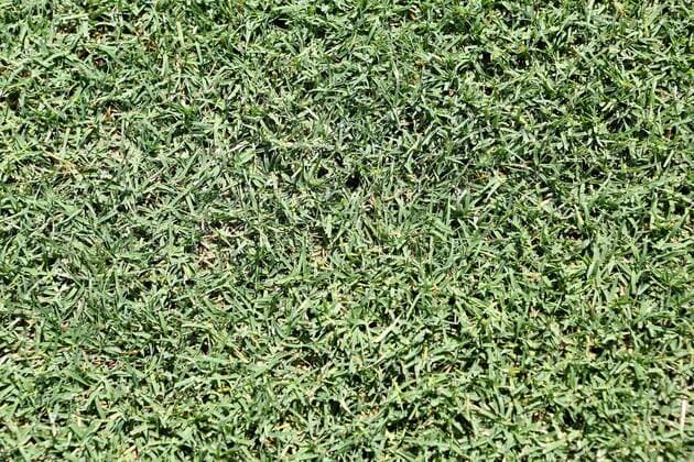 Fußball, Hybridrasen im Nationalstadion von Malta National Stadium, Ta Qali, Malta 24 08 2016 The new National Stadium SISGrass Hybrid pitch was officially presented during ahandover press conference PK Pressekonferenz event at the National Stadium itself in Ta Qali, Malta. SISGrass - the patented hybrid pitch system was implanted at the National Stadium in Ta Qali, Malta. The new playing surface will be officially inaugurated in Malta s forthcoming FIFA World Cup WM Weltmeisterschaft Fussball 2018 Group F qualification match against Scotland on September 4th at the same stadium. SISGrass Hybrid Pitch at the National Stadium in Malta MLT_SISGRASS