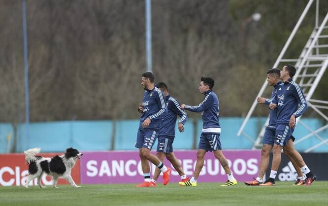 Argentina s players joke with a dog during an Argentina national soccer team training session, in Ezeiza, Argentina, 29 August 2016. Argentina will play with Uruguay in a game for the Russia 2018 World Soccer Cup qualifications, on 01 September 2016. Entrenamiento de la selección argentina de fútbol !ACHTUNG: NUR REDAKTIONELLE NUTZUNG!  BAS02 20160829-636081114307724375