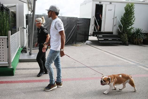 Themen der Woche - Sport Bilder des Tages - SPORT Motorsports: FIA Formula One World Championship WM Weltmeisterschaft 2016, Grand Prix of United States, 44 Lewis Hamilton (GBR, Mercedes AMG Petronas Formula One Team), xHOCHxZWEIx