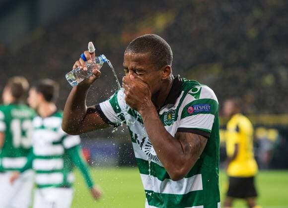 Marvin Zeegelaar (LIS) Fussball international: UEFA Championsleague Saison 2016 2017, Gruppenspiel: Borussia Dortmund - Sporting Lissabon in Dortmund, Deutschland am 02.11.2016,