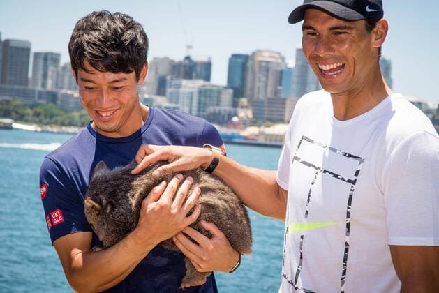 Bilder des Tages - SPORT FAST4 Tennis Showdown AUS v WORLD Media Call (L-R) World No.5 Kei Nishikori (JPN) and World No. 9 Rafael Nadal (ESP) on the shore of Sydney Harbour with Australian Wombat Lola prior to the FAST4 Showdown AUS v WORLD to be played at the International Convention Center in Sydney. Fast4 Tennis has been described as the Tennis version of cricket s Twenty20. FOR EDITORIAL USE ONLY.Pacific Press Agency  HughxPeterswald PacificxPress