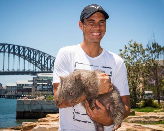 FAST4 Tennis Showdown AUS v WORLD Media Call World No. 9 Rafael Nadal (ESP) pictured holding native Australian Wombat Lola at a media call prior to the FAST4 Showdown AUS v WORLD to be played at the International Convention Center in Sydney. Fast4 Tennis has been described as the Tennis version of cricket s Twenty20. FOR EDITORIAL USE ONLY.Pacific Press Agency  HughxPeterswald PacificxPress