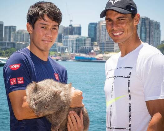 FAST4 Tennis Showdown AUS v WORLD Media Call (L-R) World No.5 Kei Nishikori (JPN) and World No. 9 Rafael Nadal (ESP) pictured holding native Australian Wombat Lola at a media call prior to the FAST4 Showdown AUS v WORLD to be played at the International Convention Center in Sydney. Fast4 Tennis has been described as the Tennis version of cricket s Twenty20. FOR EDITORIAL USE ONLY.Pacific Press Agency  HughxPeterswald PacificxPress