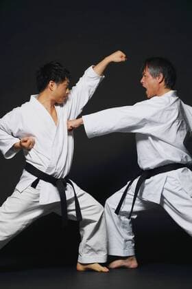 Japanese karate masters fighting R160619_MR01.jpg,xR160619_MR02.jpg  (qdwg000925)