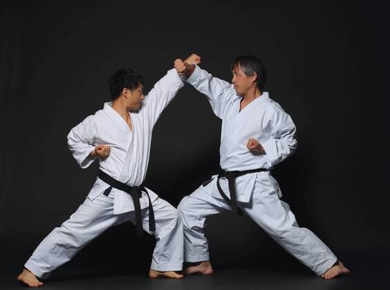 Japanese karate masters fighting R160619_MR01.jpg,xR160619_MR02.jpg  (qdwg000926)