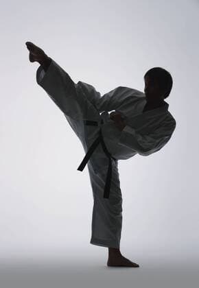Japanese karate master training R160619_MR02.jpg  (qdwg000983)