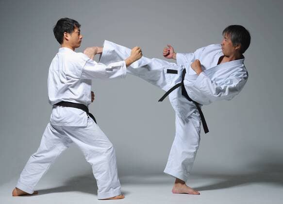 Japanese karate masters fighting R160619_MR01.jpg,xR160619_MR02.jpg  (qdwg001022)