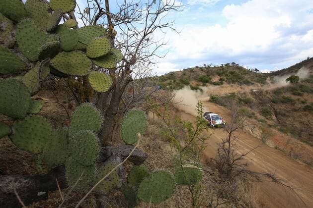 Finnish Juho Hanninen drives his Toyota Yaris WRC Motorsport Rallye WM , during the second day of 14th annual Mexico Rally, in Leon, Mexico, 10 March 2017. 2017 Mexico Rally !ACHTUNG: NUR REDAKTIONELLE NUTZUNG!  Copyright: xUlisesxRuizxBasurtox MEX351 20170311-636248041367756671