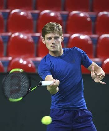 CHARLEROI - APRIL 4, 2017 : David Goffin of Belgium pictured during practice session before Davis Cup World quarterfinal match between Belgium and Italy in the Spiroudome on april 7 till 9 april, 2017 in Charleroi 4 04 2017 Belgium TENNIS : Entrainement Equipe Belgique - Coupe Davis - Charleroi - 04 04 2017 PhotoNews Panoramic  700029173
