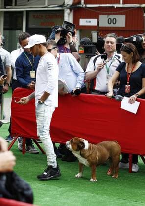 Motorsports: FIA Formula One World Championship WM Weltmeisterschaft 2017, Grand Prix of Spain, 44 Lewis Hamilton (GBR, Mercedes AMG Petronas F1 Team) with his dog Barcelona Spain xHOCHxZWEIx