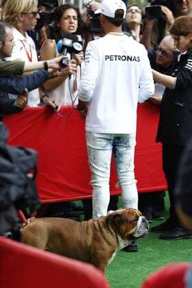 Motorsports: FIA Formula One World Championship WM Weltmeisterschaft 2017, Grand Prix of Spain, 44 Lewis Hamilton (GBR, Mercedes AMG Petronas F1 Team) with his dog Barcelona Spain xHOCHxZWEIx