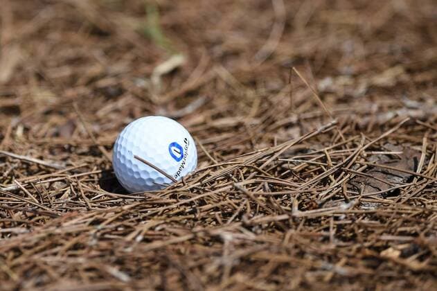 Bilder des Tages SPORT JUN 29, 2017 - Nick Taylor s (CAN) sits in the straw on the eighteenth during the opening round at the 2017 Quicken Loans National at the Tournament Players Club in Potomac MD. PGA Golf Herren 2017: Quicken Loans National JUN 29 - ZUMAcjm_ 20170629_zaf_cjm_073 Copyright: xJohnxMiddlebrookx