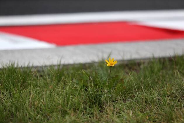 Hungarian Grand Prix, Hungaroring 27 - 30 July 2017 27.07.2017 - Track atmosphere 