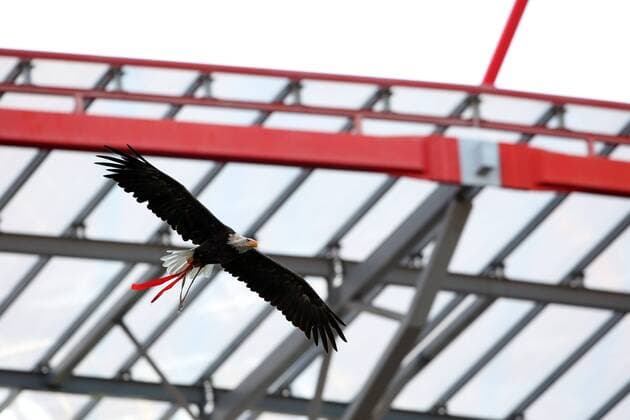 September 12, 2017 - Lisbon, Portugal - Benfica s eagle fly in the stadium before the UEFA Champions League football match SL Benfica vs CSKA Moscow at the Luz stadium in Lisbon, Portugal on September 12, 2017. Photo: UEFA Soccer 2017: Benfica vs CSKA Moscow - ZUMAf123 20170912_zap_f123_017 Copyright: xPedroxFiuzax