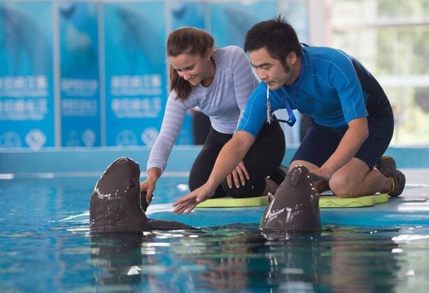 (170923) -- WUHAN, Sept. 23, 2017(Xinhua) -- Lauren Davis (L) of the United States participating in the 2017 WTA Tennis Damen Wuhan Open plays with a finless porpoise during her visit at the Institute of Hydrobiology under Chinese Academy of Sciences in Wuhan, central China s Hubei Province, on Sept. 23, 2017. (Xinhua )(wll) (SP)CHINA-WUHAN-TENNIS-WTA-WUHAN OPEN-LAUREN DAVIS(CN)  - ZUMA XxjpbeE001094_20170923_TPPFN0A001 Copyright: xXiongxQix