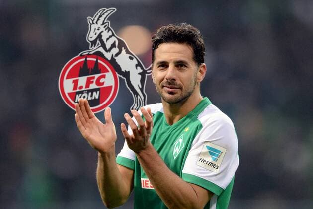 1.FC Koeln vor Verpflichtung von Claudio PIZARRO.FOTOMONTAGE. Archivfoto: Claudio PIZARRO (HB), Geste, Gestik, Freude, Sieg, freuen, Erfolg, Fussball 1. Bundesliga, 25. Spieltag, SV Werder Bremen (HB) - Hannover 96 (H) 4:1, am 05.03.2016 in Bremen Deutschland. Ã‚Â