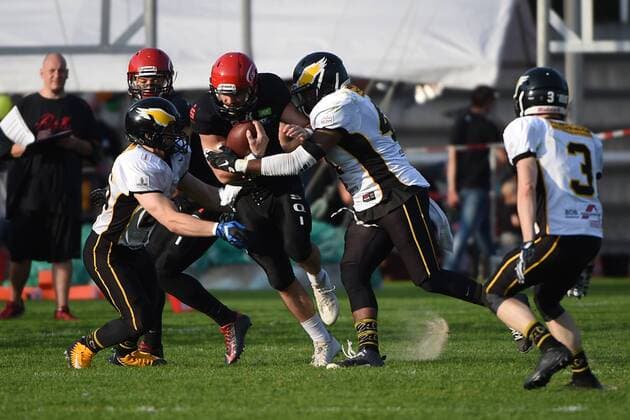 American Football, Herren, Saison 2017, GFL 2, Relegationsrückspiel zum Aufstieg in die GFL , Potsdam Royals - Berlin Adler, LB Alexandru Rusu (Nr. 26, Berlin Adler), QB Jacob Tucker (Nr. 1, Potsdam Royals), LB Giancarlo Boone (Nr. 41, Berlin Adler), 30.09.17, Copyright: xMichaelxHundtx xMatthiasxKochx