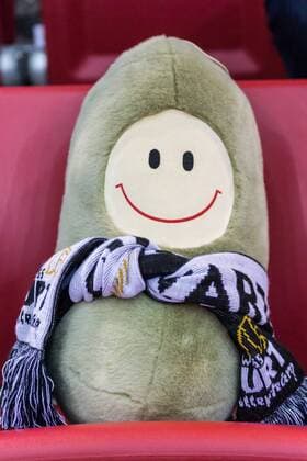 Mascots SWEnja Fans Audience Audience Mood Black White Erfurt SWE Volleyball 1 Bundesliga Women Alliance MTV Stuttgart Schwarzweiß Erfurt xprx