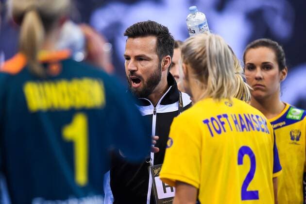 171202 Swedens federation Henrik Signell in the match between Sweden and Poland during the World Cups World Cup on December 2, 2017 in Bietigheim Bissingen  Copyright: CARLxSANDIN BB171202CS027