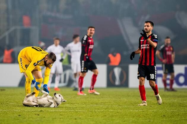 171207 Goalkeeper Filip Gacevski or FK Vardar and a street dog that entered the pitch during the Europe League match between FK Vardar and Rosenborg on December 7, 2017 in Skopje Photo Jon Olav Nesvold BILDBYR N Code JE 160096  Copyright: JONxOLAVxNESVOLD BB171207ZQ009