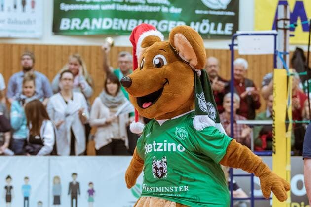 Mascots Netzino 09 12 2017 Netzhoppers SolWo Königspark KW Bestensee Berlin Recycling Volleys Volleyball Bundesliga League match Königs Wusterhausen Landkost Arena