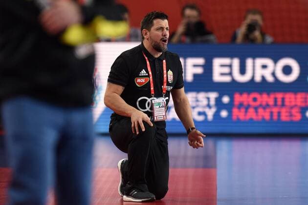 Handball, EM, Ungarn - Spanien European Handball Championship, Group D, 2nd Round, Hungary - Spain 15.01.2018., Croatia, Arena, Varazdin - European Handball Championship, Group D, 2nd Round, Hungary - Spain. VRANJES Ljubomir, coach.  VjeranxZganec-Rogulja PIXSELL