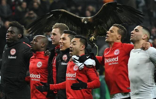 Themen der Woche - SPORT Bilder des Tages - SPORT 10.02.2018, xpsx, Fussball 1. Bundesliga, Eintracht Frankfurt - 1.FC Koeln, emspor v.l. Frankfurter jubel nach Sieg Atilar Frankfurt *** 10 02 xpsx 2018 football 1 Bundesliga Eintracht Frankfurt 1 FC Cologne of emspor v l Frankfurt jubilation after victory Atilar Frankfurt