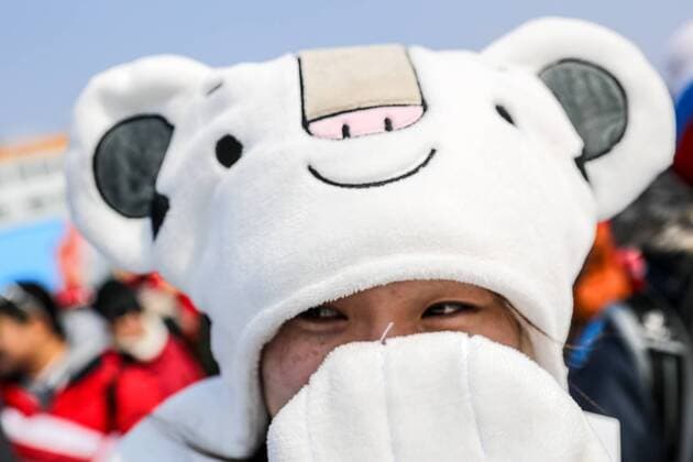 PYEONGCHANG, SOUTH KOREA - FEBRUARY 22, 2018: A fan wearing a costume of the 2018 Winter Olympic Games Olympische Spiele Olympia OS mascot Soohorang during the men s freestyle skiing ski halfpipe event at the 2018 Winter Olympic Games at Phoenix Snow Park. Sergei Bobylev TASS  TS0752A0