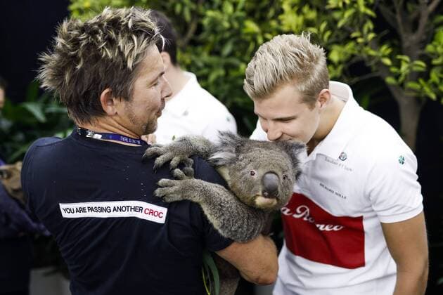 Motorsports: FIA Formula One World Championship WM Weltmeisterschaft 2018, Melbourne, Victoria : Motorsports: Formula 1 2018 Rolex Australian Grand Prix, , 9 Marcus Ericsson (SWE, Sauber F1 Team), with a koala bear Melbourne Australia