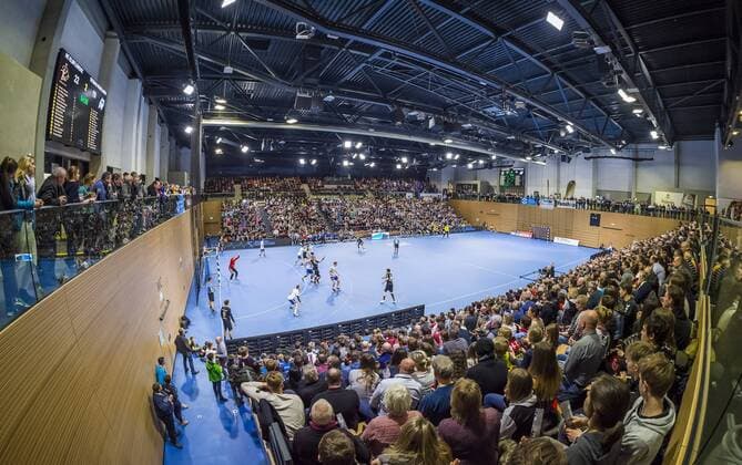 29 03 2018 Handball 2 Bundesliga HC Elbflorenz Dresden Dessau Rosslauer HV 24 21 the sold-out ball games Arena c