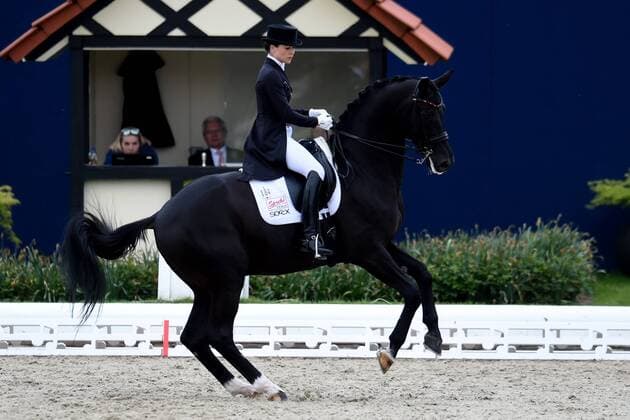 Dressage Horses and Dreams 2018 CDI4 Grand Prix GP Freestyle to Music on 28.04.208 at Hof Kasselmann in Hagen a T W Kristina Bröring Sprehe Germany on her horse Desperados FRH MT