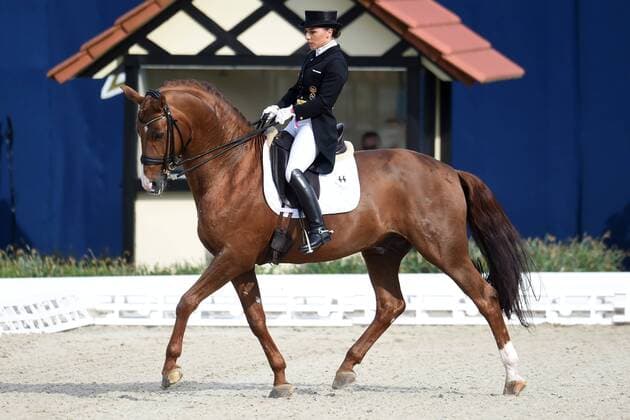 Dressage Horses and Dreams 2018 CDI4 GP FS Grand Prix Freestyle to Music on 28.04.208 at the Hof Kasselmann in Hagen a T W Charlott Maria Schürmann Schuermann Germany on her horse Burlington FRH MT